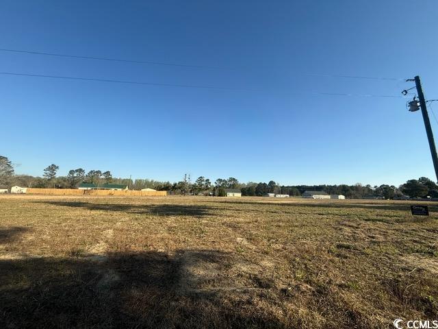 Lot J Lexyryan Ct., Latta, South Carolina image 7
