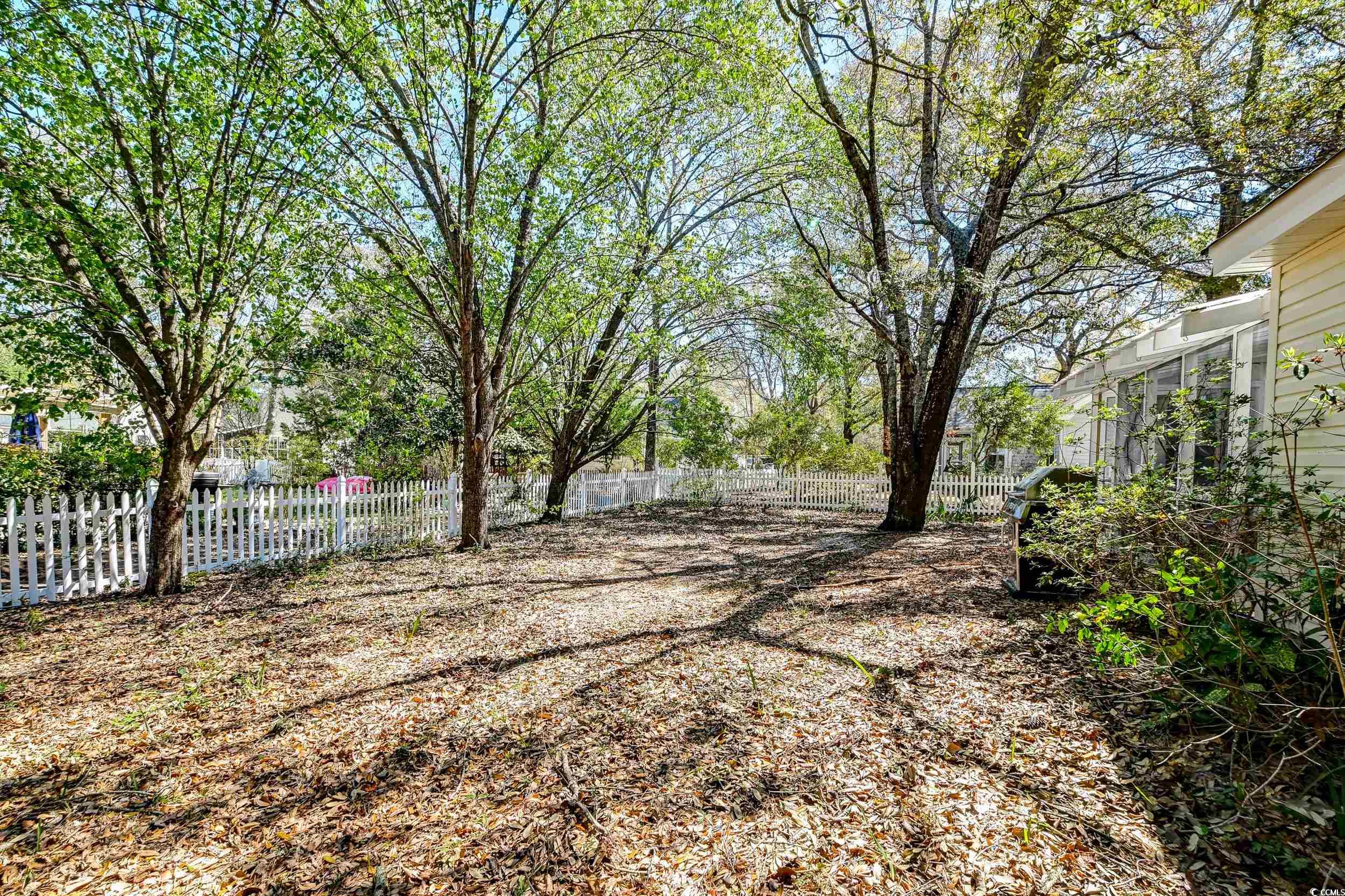 81 Safe Harbor Ave., Pawleys Island, South Carolina image 11