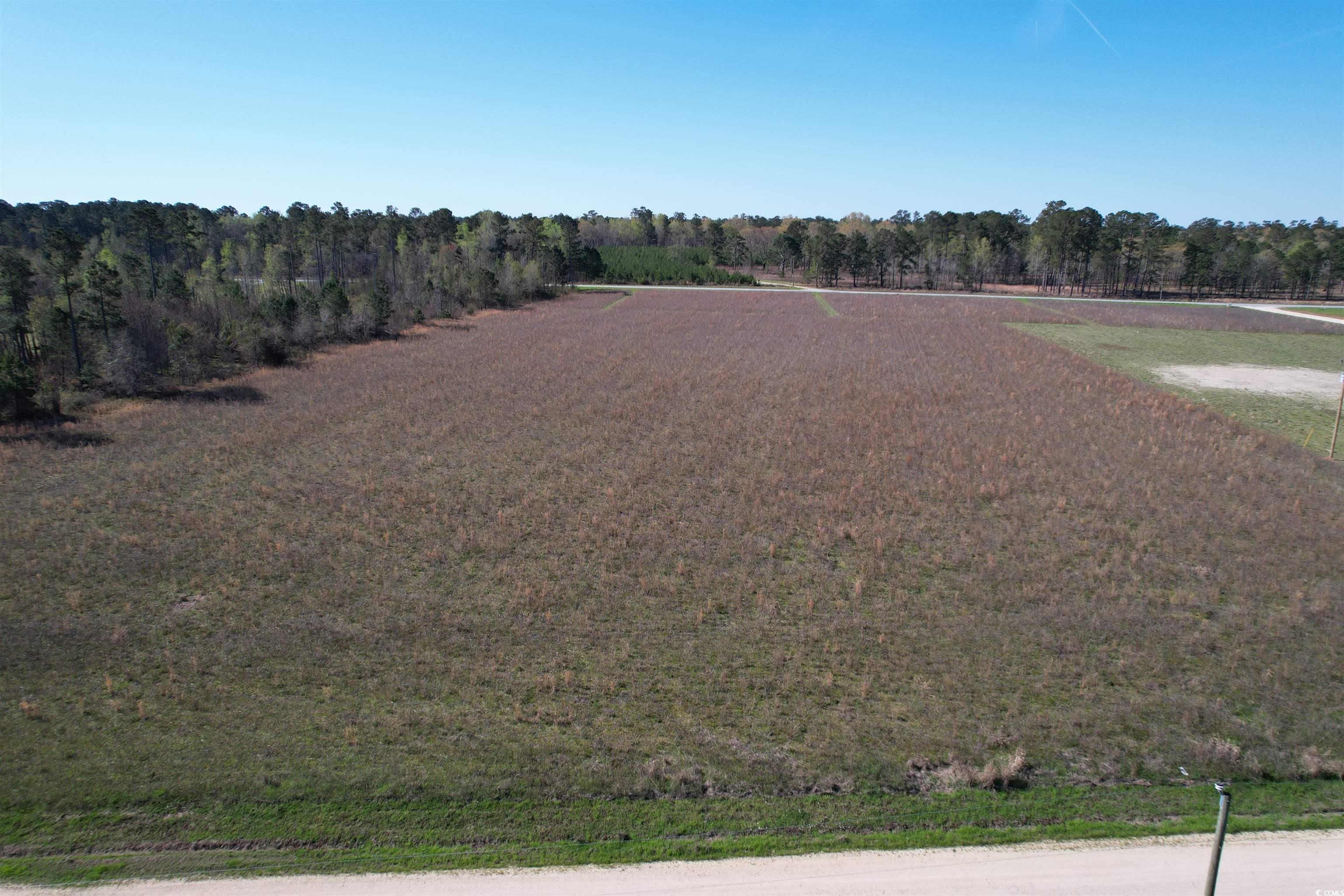Lot 38 Gulley Ln., Salters, South Carolina image 2