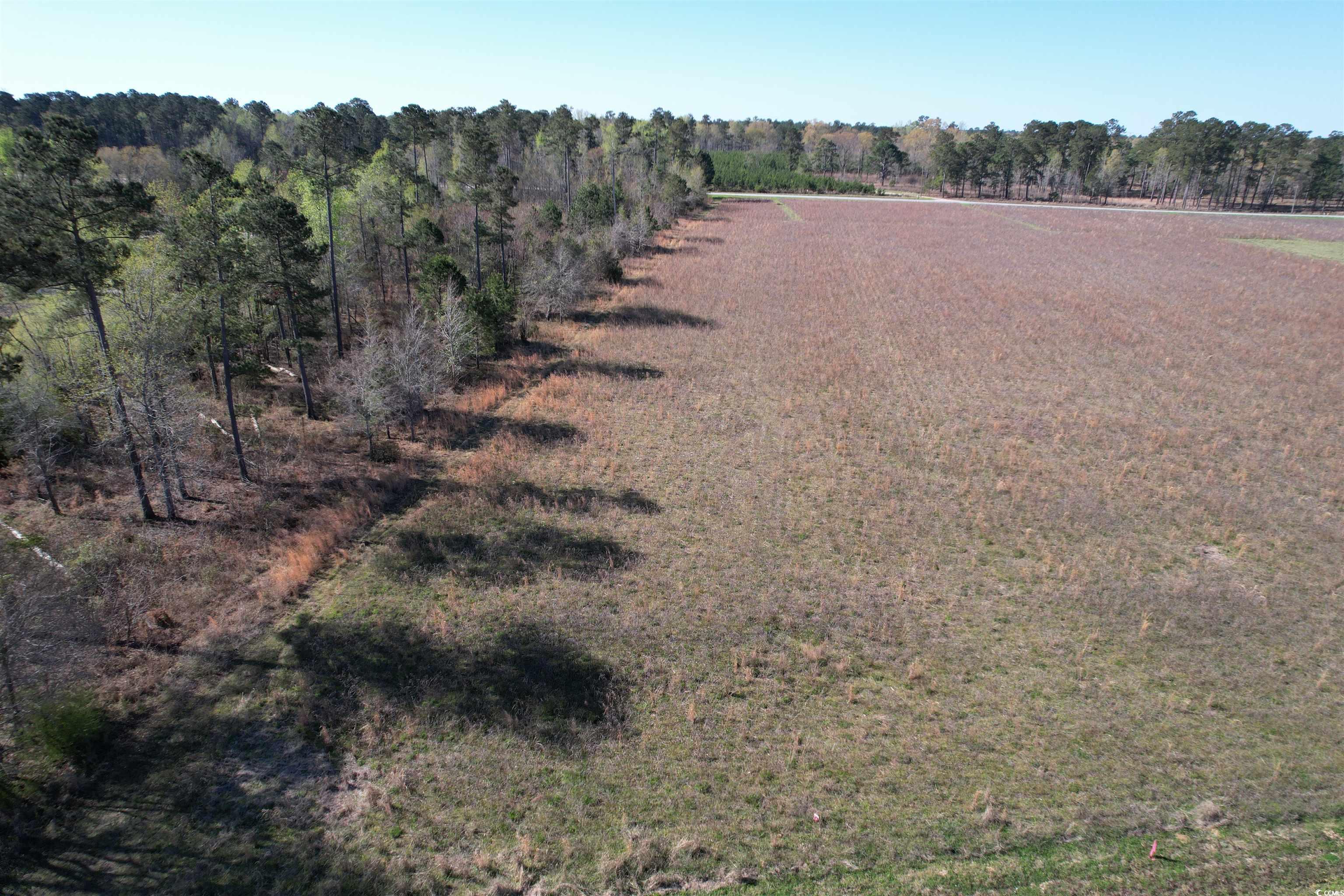Lot 38 Gulley Ln., Salters, South Carolina image 3