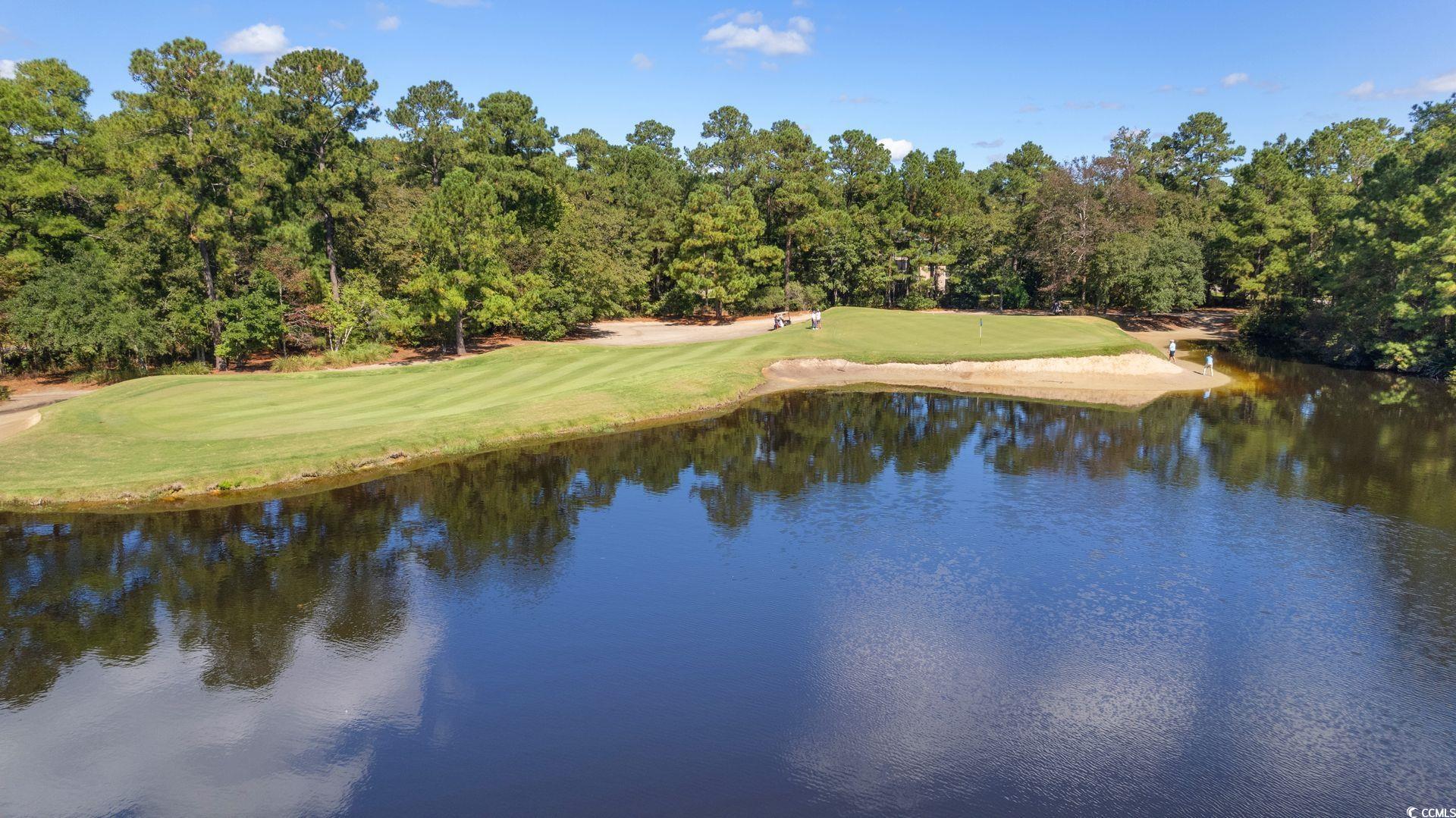 366 Pinehurst Ln. #13E, Pawleys Island, South Carolina image 30