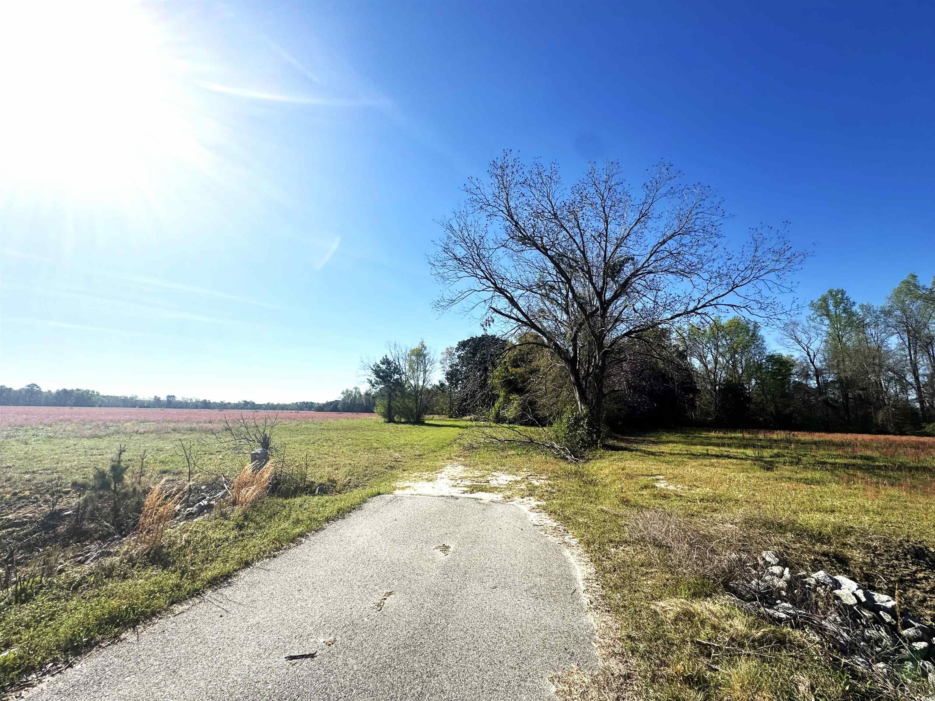 1260 W Highway 378 Hannah, Pamplico, South Carolina image 8