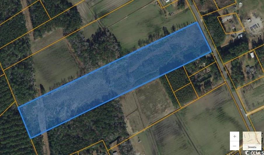 TBD Red Bluff Rd., Loris, South Carolina image 1