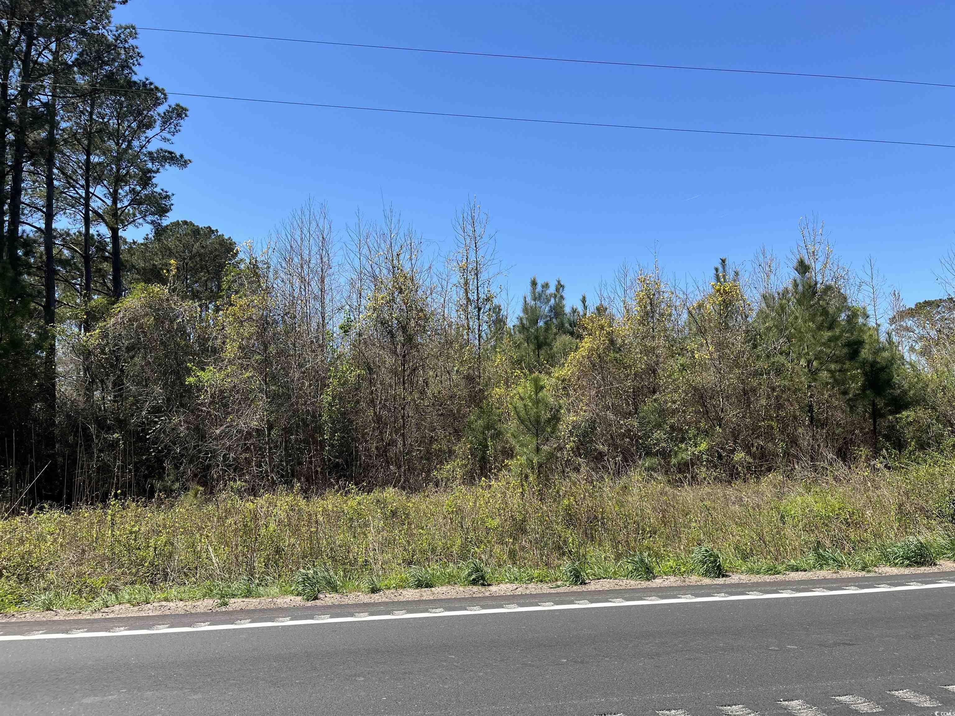 TBD Red Bluff Rd., Loris, South Carolina image 5