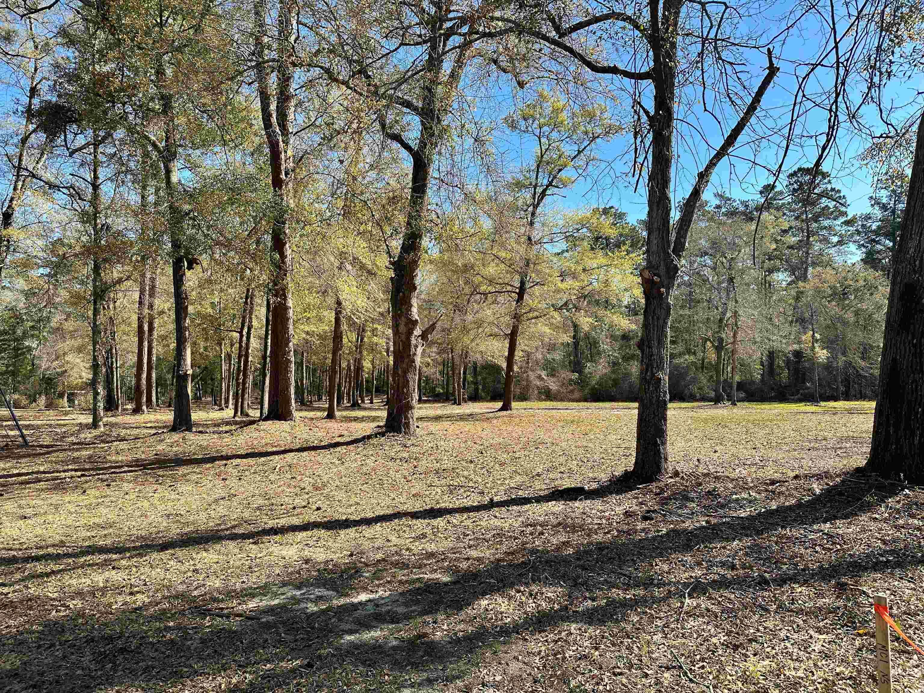 TBD Nichols St., Nichols, South Carolina image 3