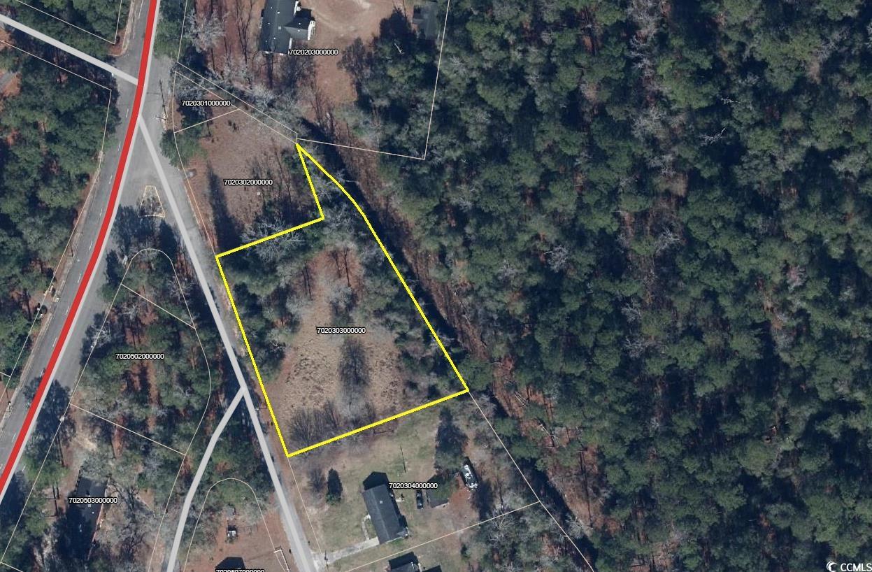 TBD Nichols St. Nichols, SC 29581
