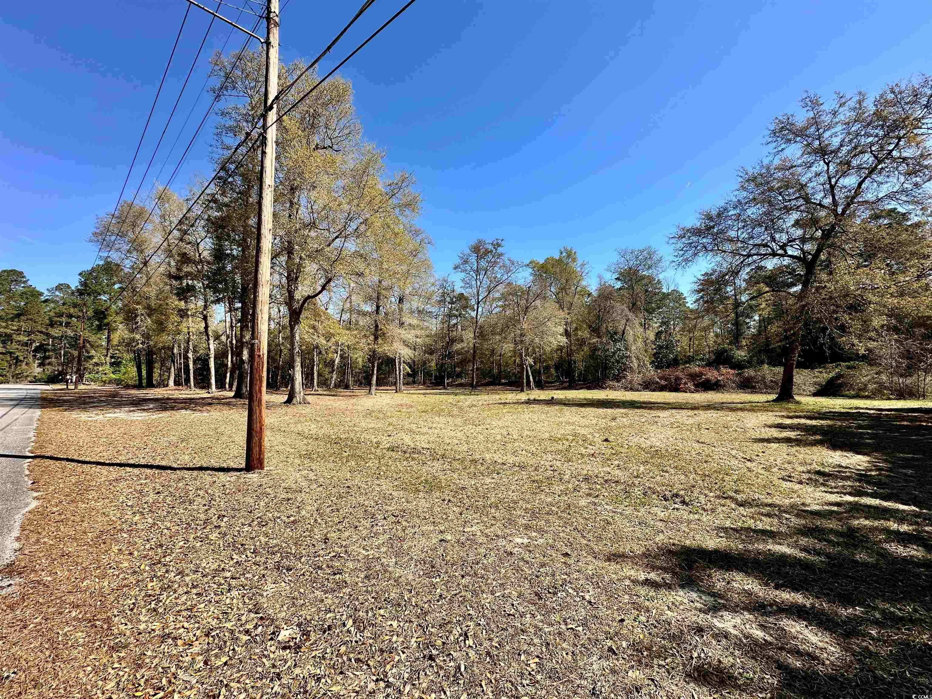 TBD Nichols St., Nichols, South Carolina image 3