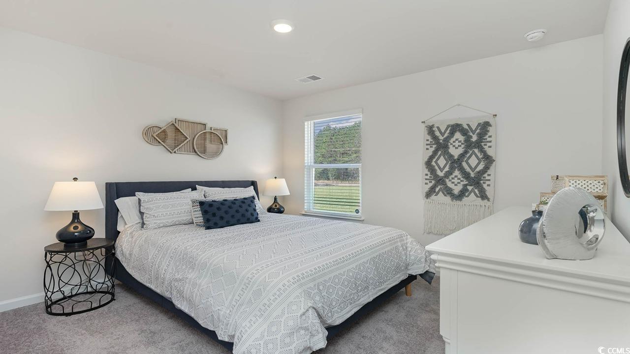 572 Strawberry Field Way, Galivants Ferry, South Carolina image 16