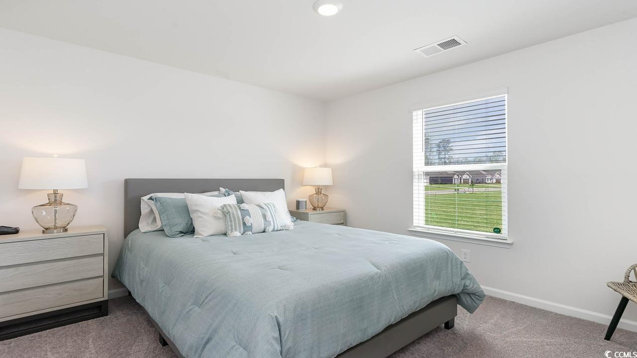 572 Strawberry Field Way, Galivants Ferry, South Carolina image 20