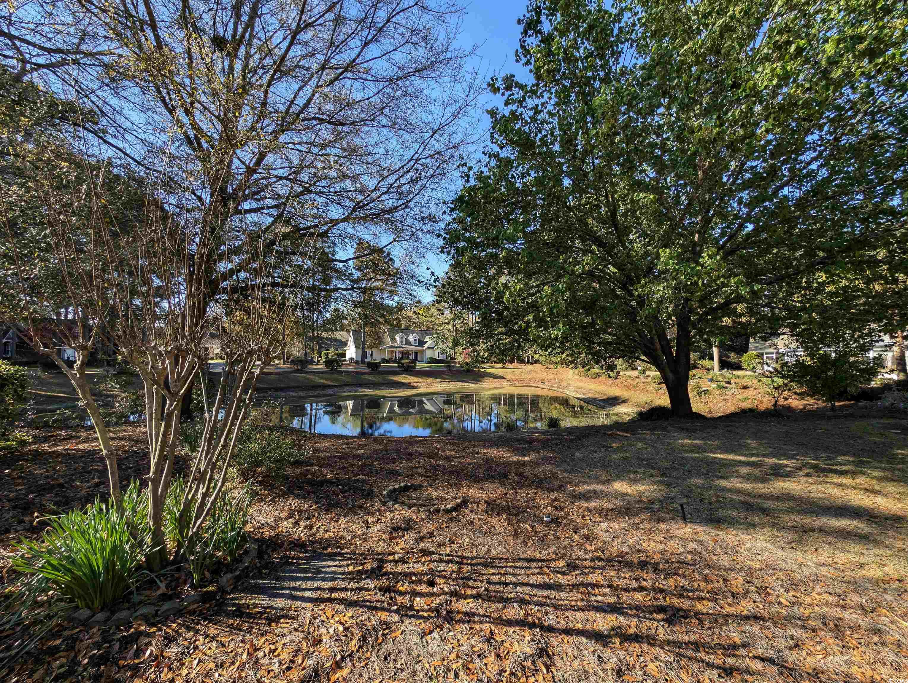 86 Old Barge Dr., Pawleys Island, South Carolina image 28