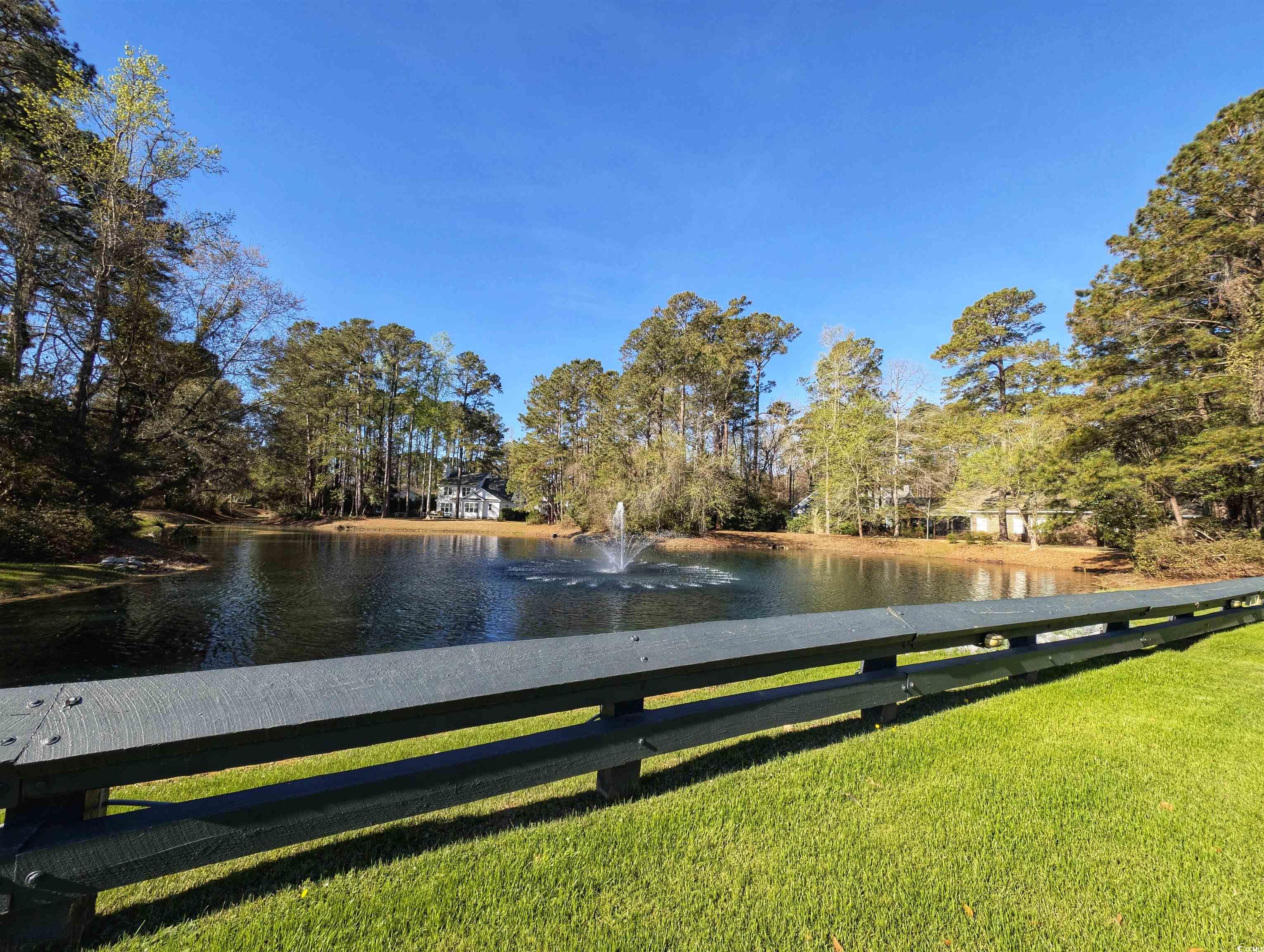 86 Old Barge Dr., Pawleys Island, South Carolina image 38
