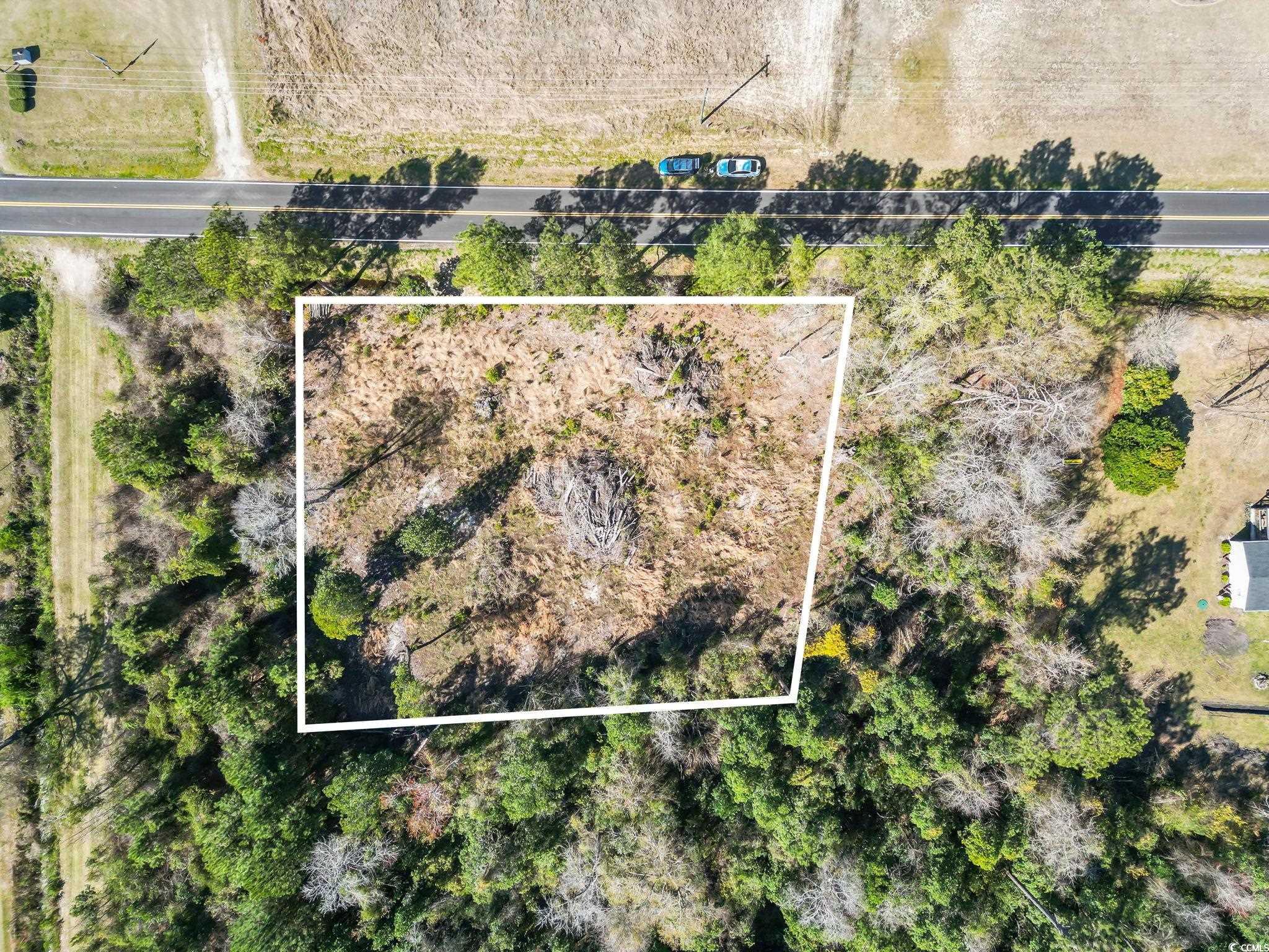 1670 Colts Neck Rd., Loris, South Carolina image 1
