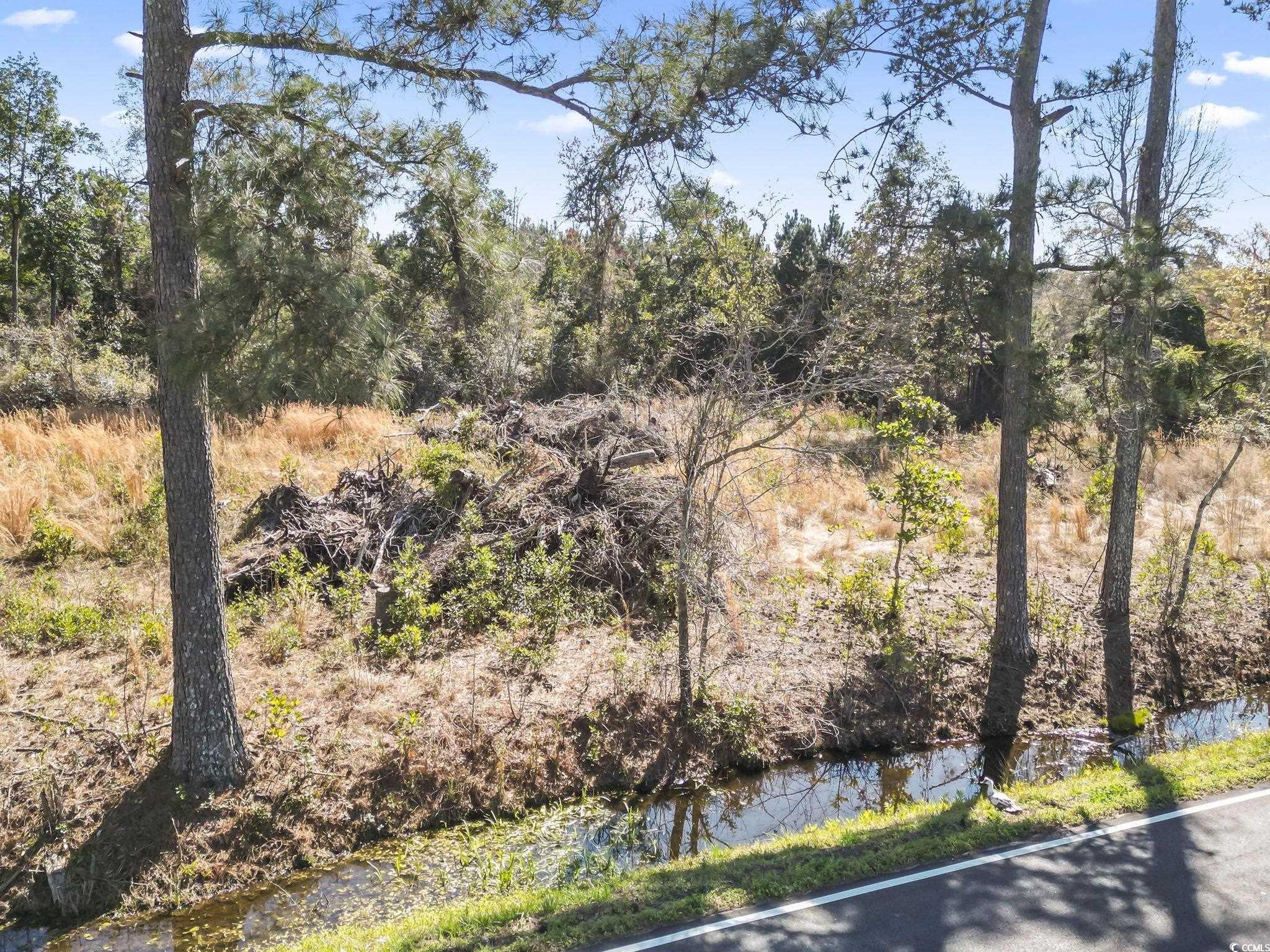 1670 Colts Neck Rd., Loris, South Carolina image 10