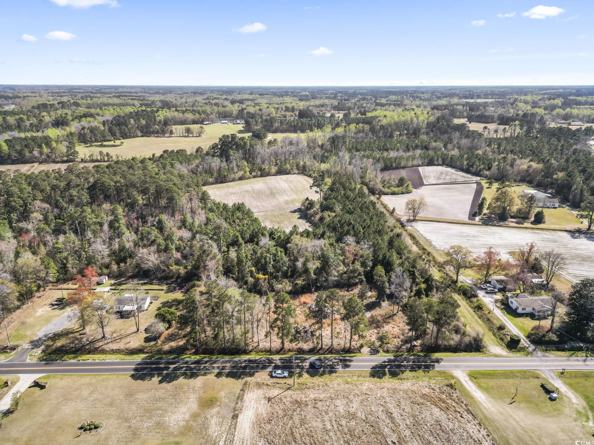 1670 Colts Neck Rd., Loris, South Carolina image 14