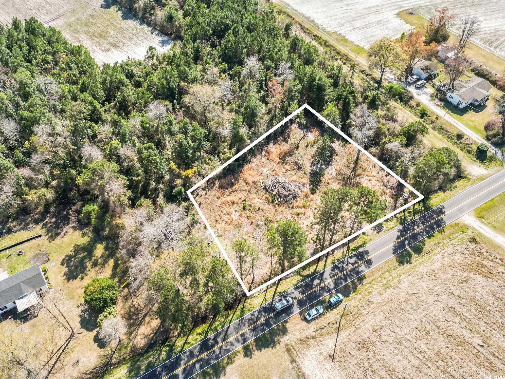 1670 Colts Neck Rd., Loris, South Carolina image 3