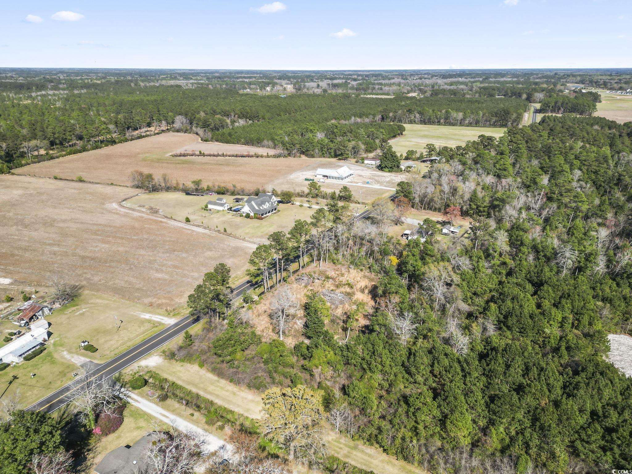 1670 Colts Neck Rd., Loris, South Carolina image 4