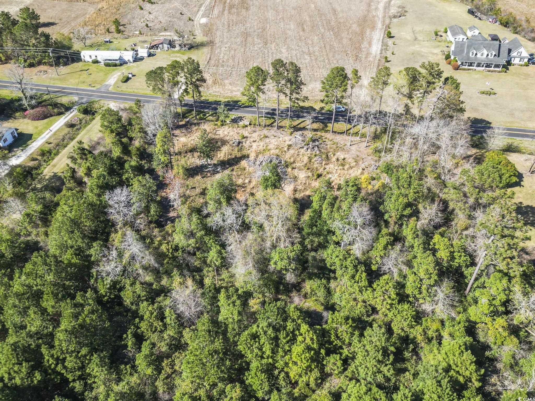 1670 Colts Neck Rd., Loris, South Carolina image 7