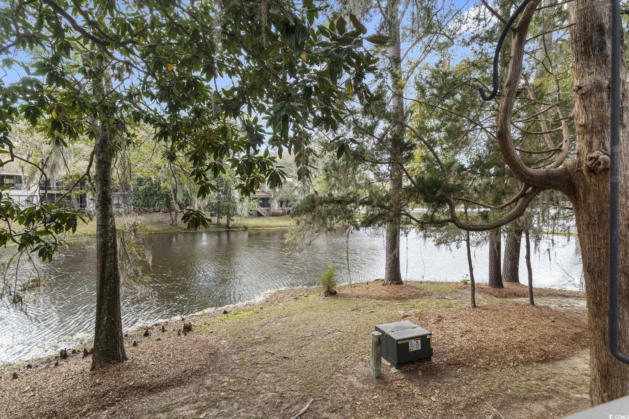63 Battery White Ct. #2C, Georgetown, South Carolina image 33