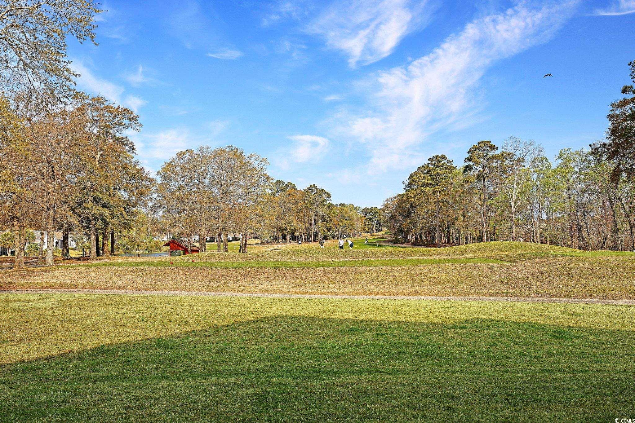 4459 Turtle Ln. #1-C, Little River, South Carolina image 23