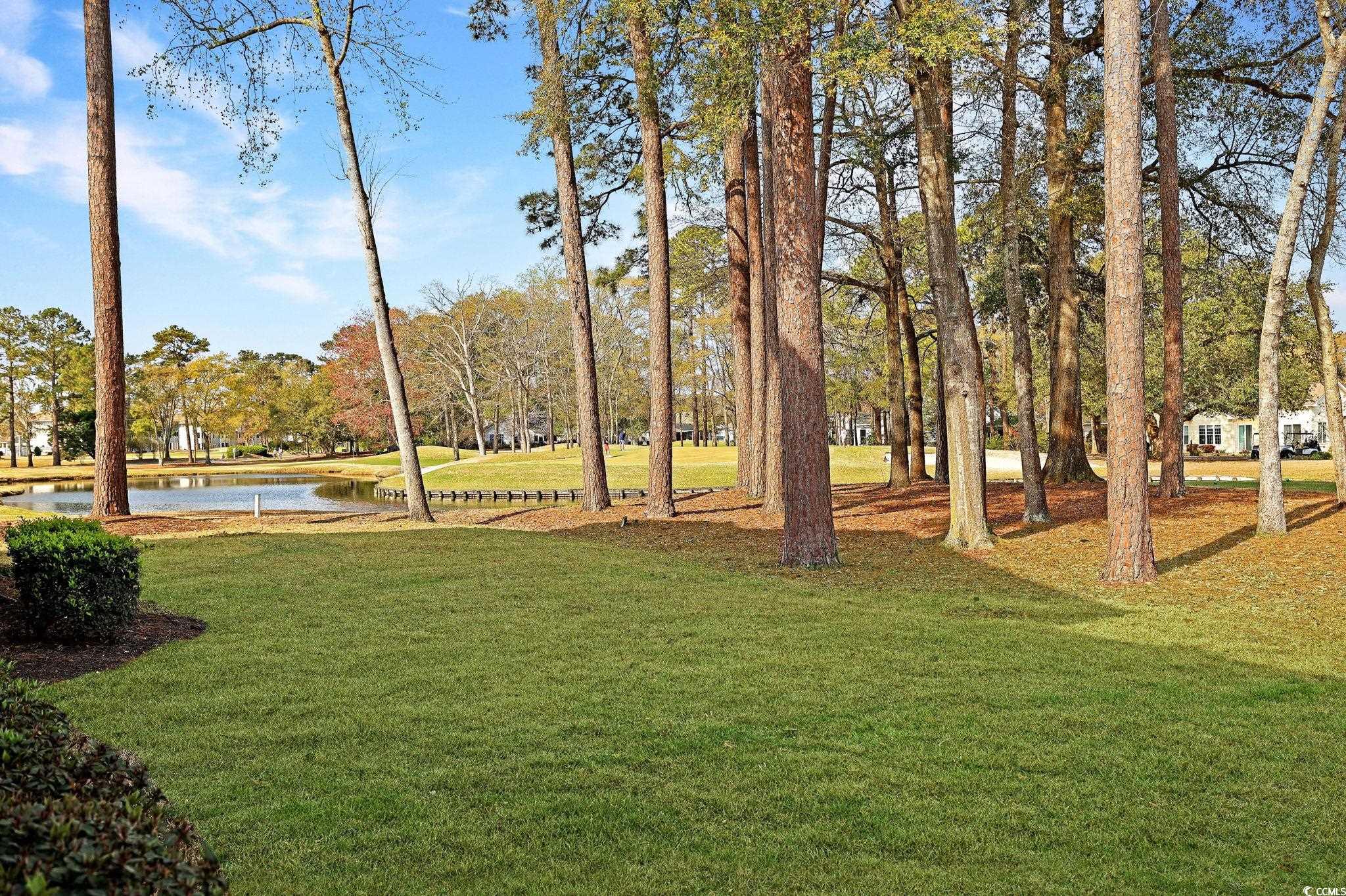 4459 Turtle Ln. #1-C, Little River, South Carolina image 24
