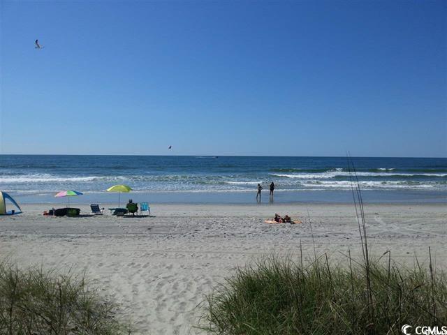 703 S 1st Ave. S #34D, North Myrtle Beach, South Carolina image 37