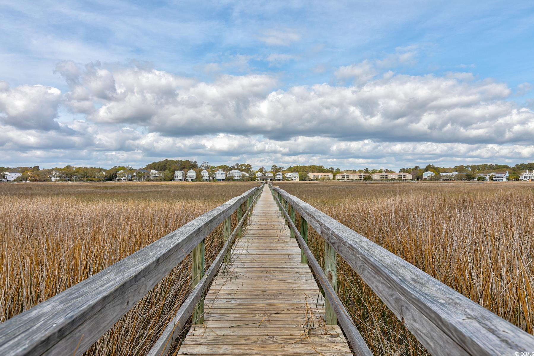 647 Norris Dr., Pawleys Island, South Carolina image 39