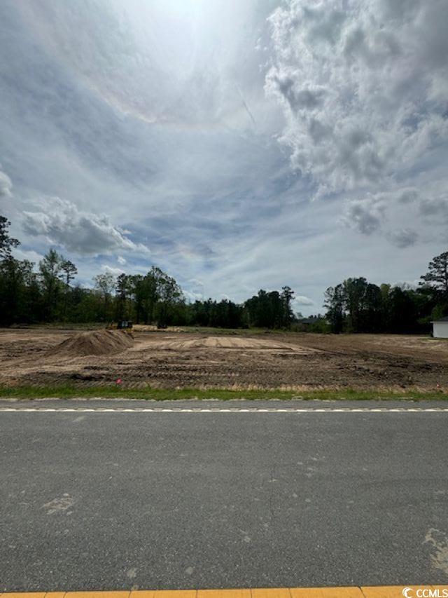 275 Zion Rd., Galivants Ferry, South Carolina image 4