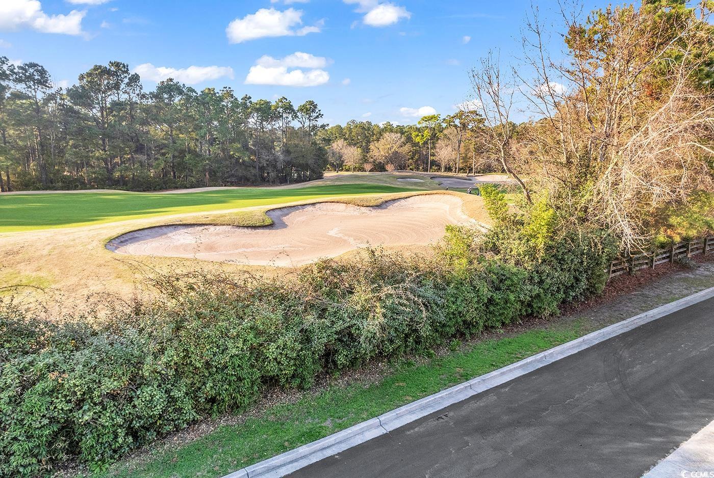 319 Lumbee Circle, Pawleys Island, South Carolina image 2