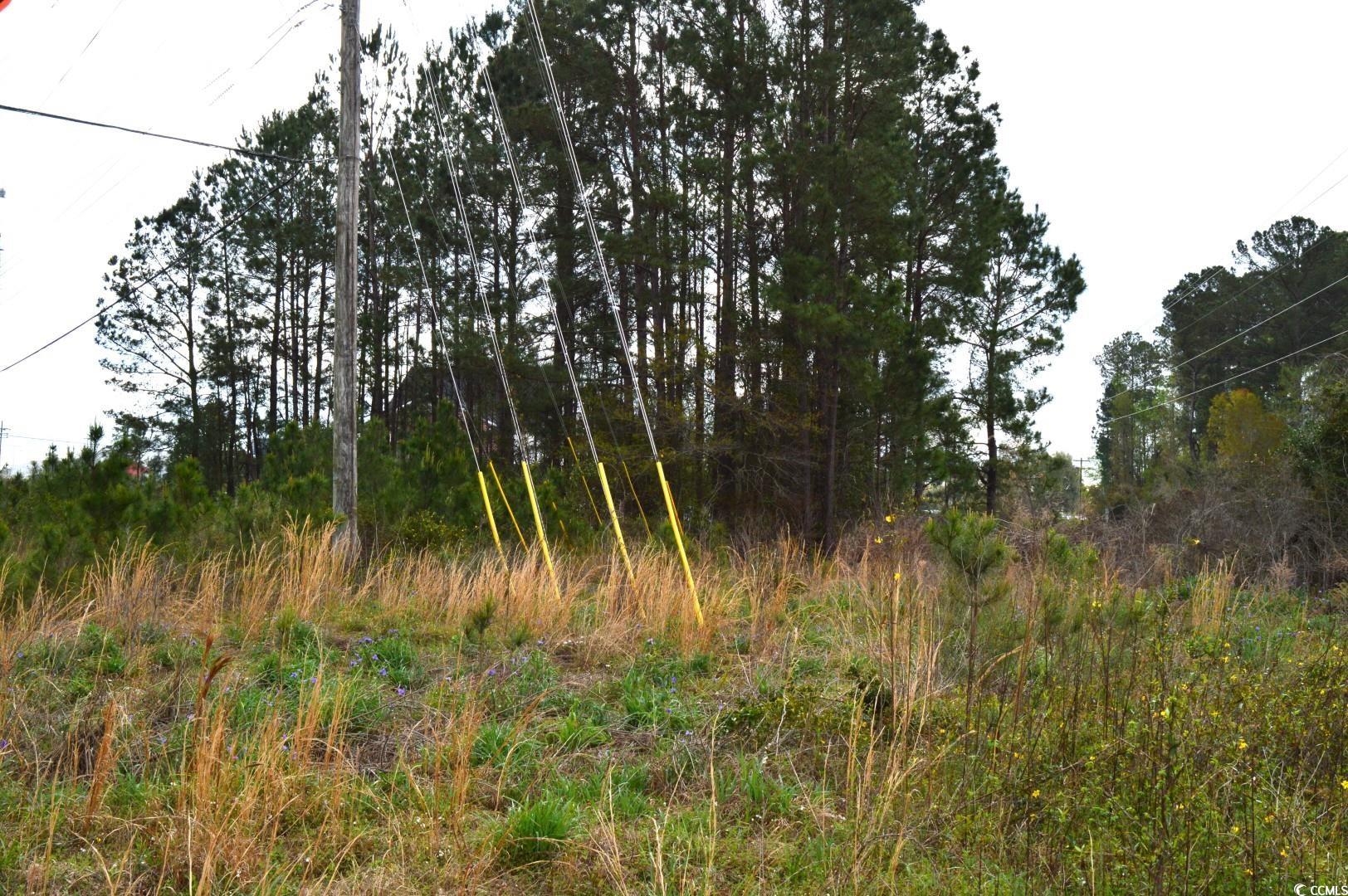 Lot 1&2 Highway 501 E, Conway, South Carolina image 13