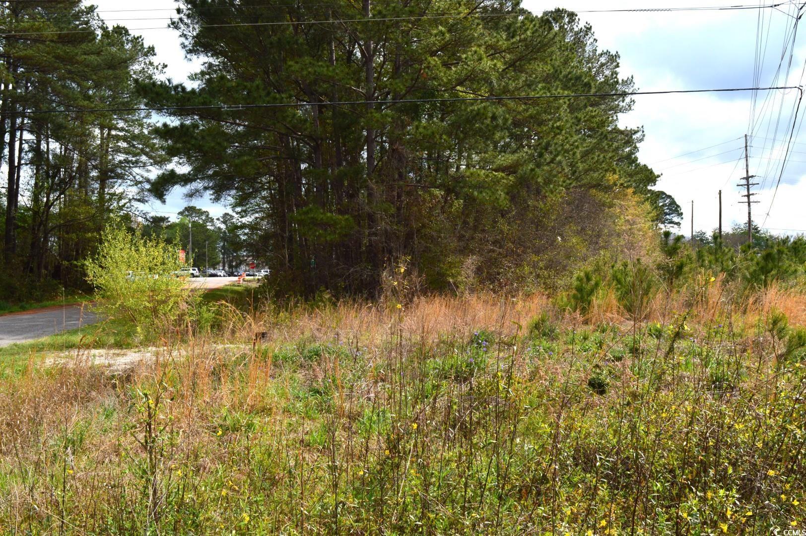 Lot 1&2 Highway 501 E, Conway, South Carolina image 16