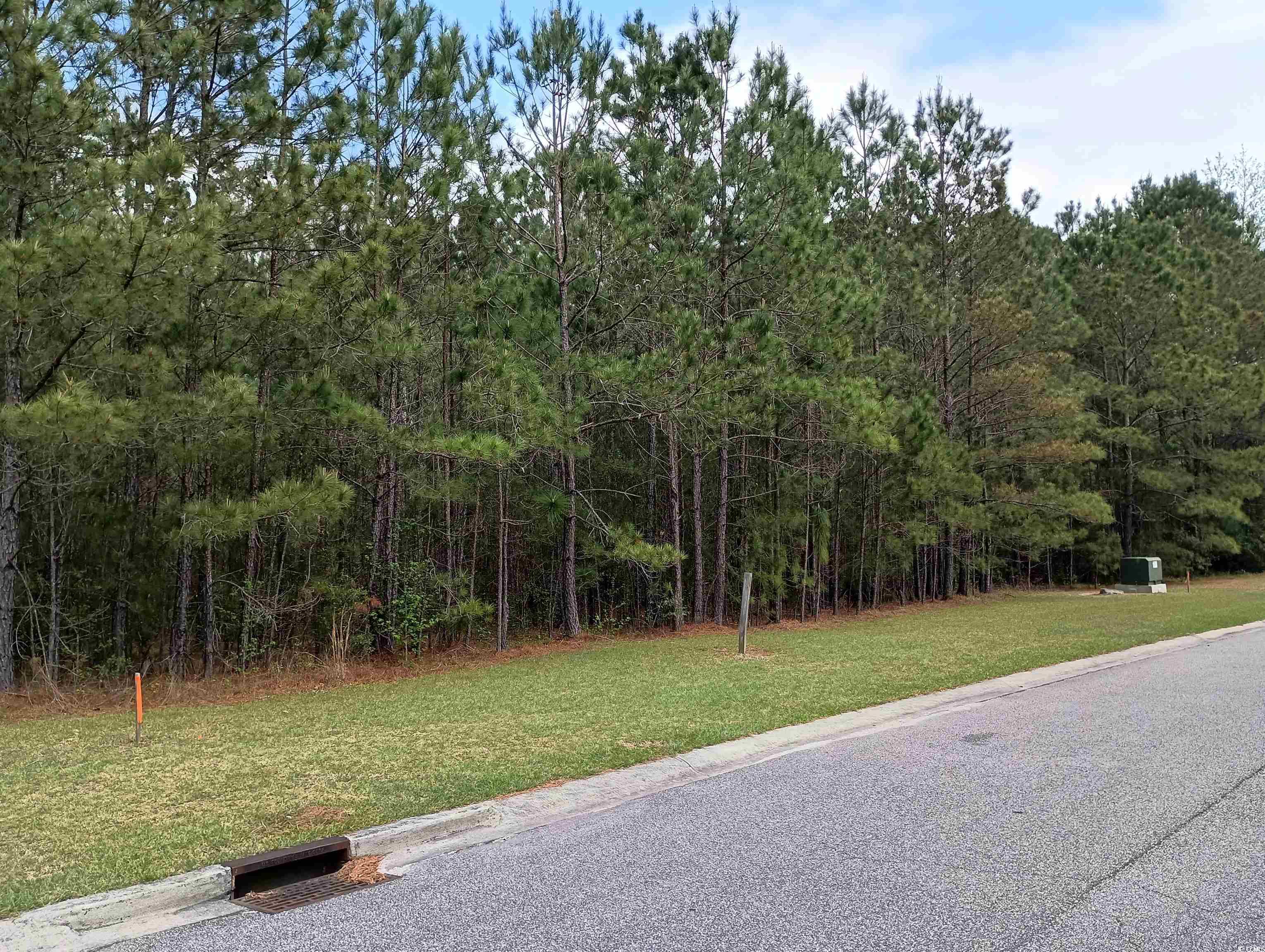 565 Timber Creek Dr. Loris, SC 29569