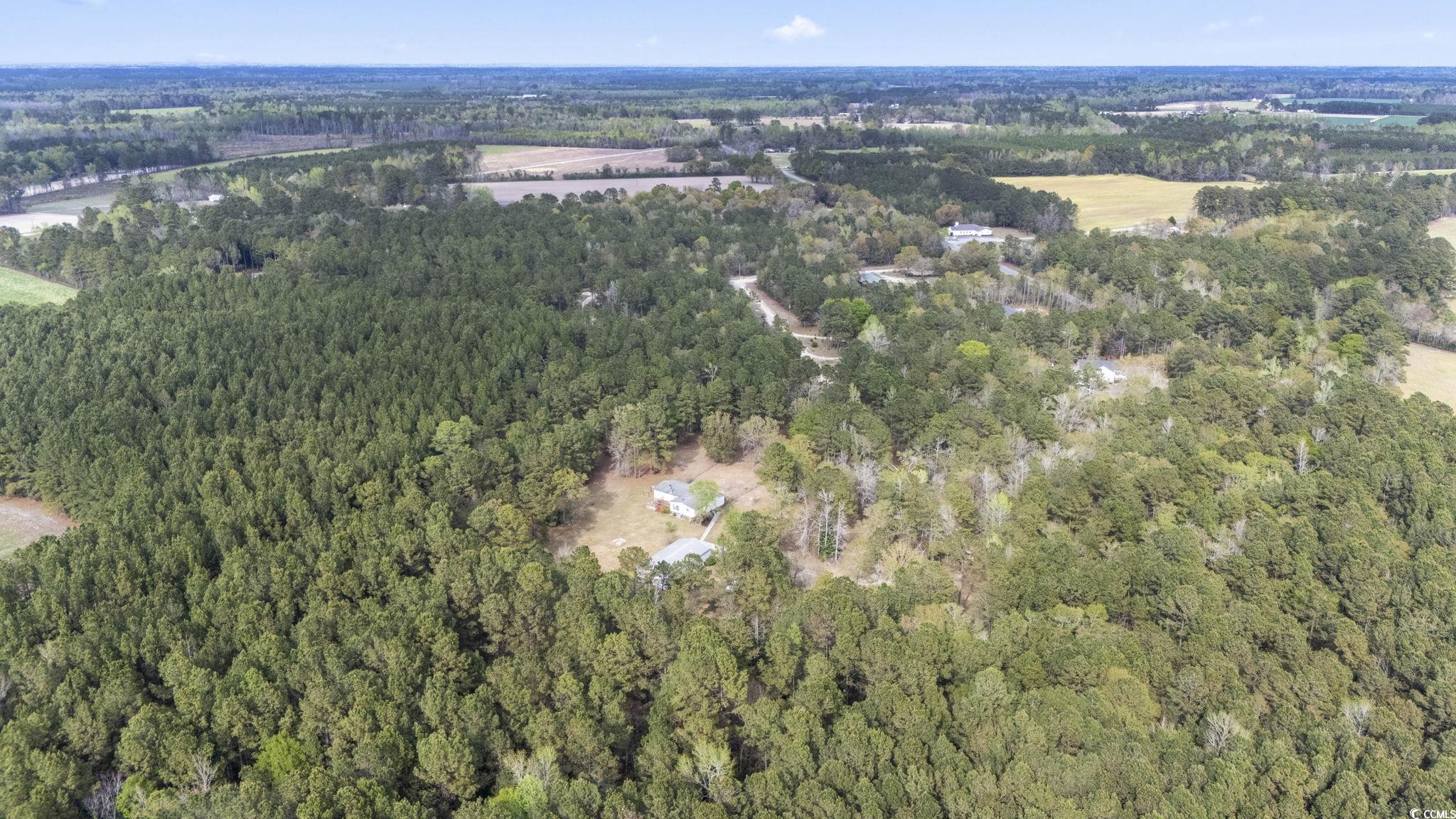 4070 Hollow Dr., Nichols, South Carolina image 4