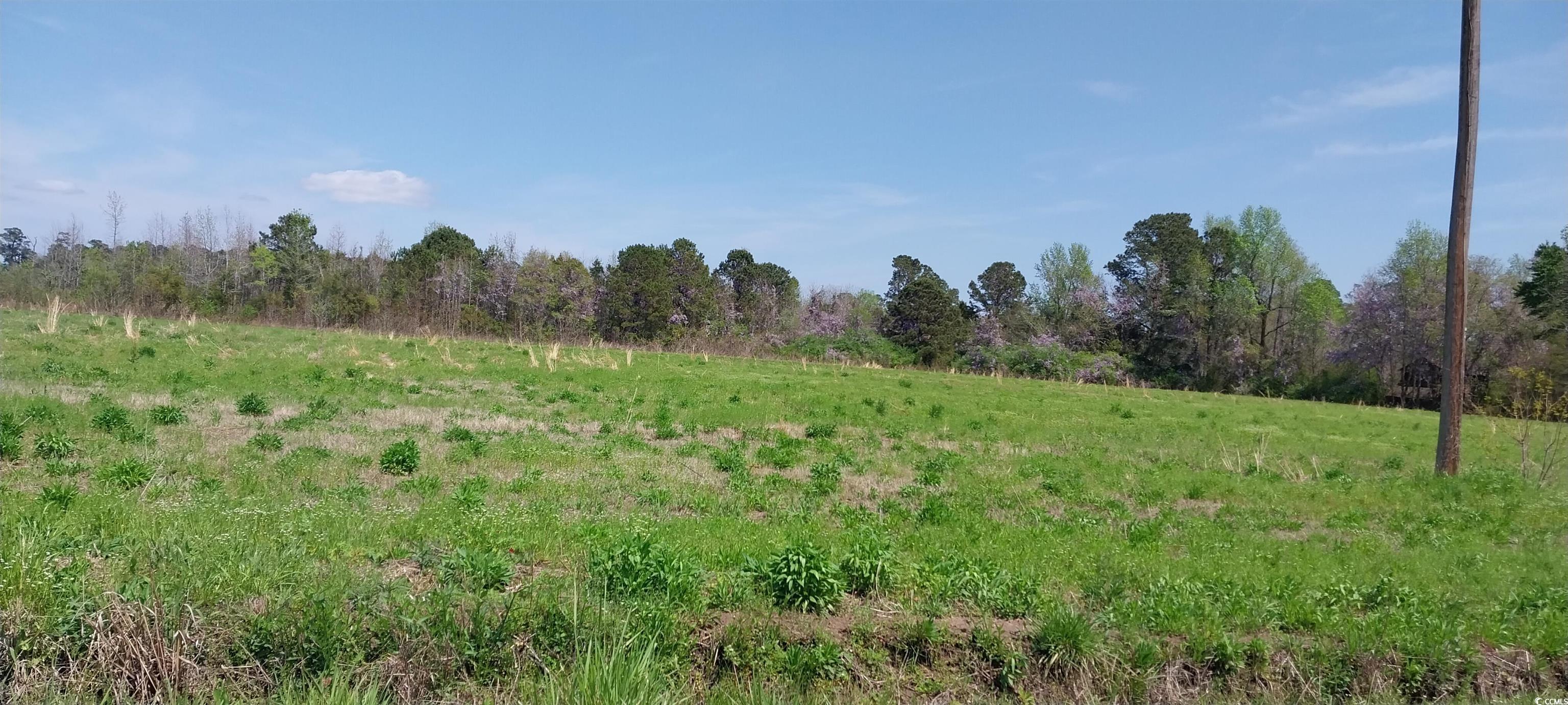 1b Davis Lane, Mullins, South Carolina image 1