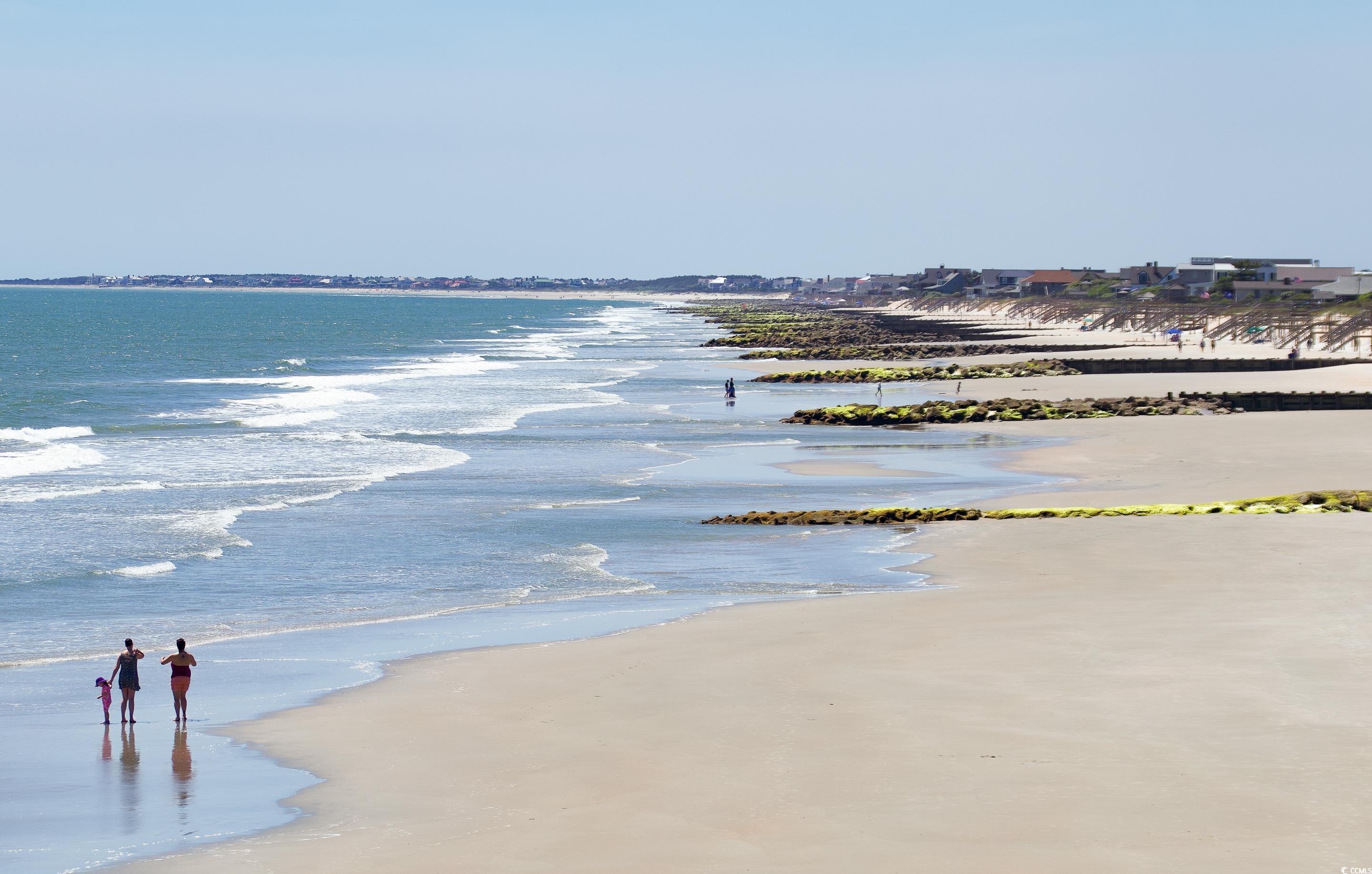 390 Pinehurst Ln. #14-I, Pawleys Island, South Carolina image 30