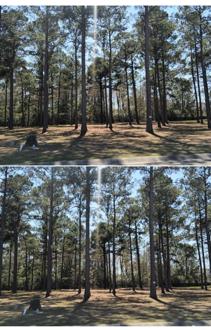 1148 Fiddlehead Way Myrtle Beach, SC 29579