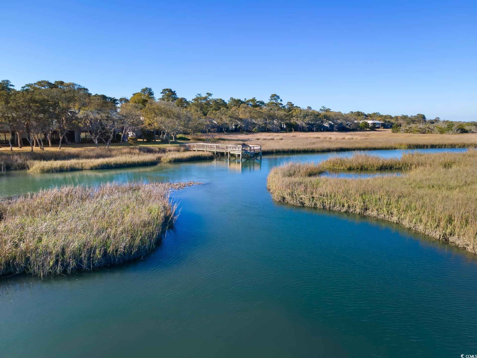 435 Salt Marsh Circle #19-F, Pawleys Island, South Carolina image 27