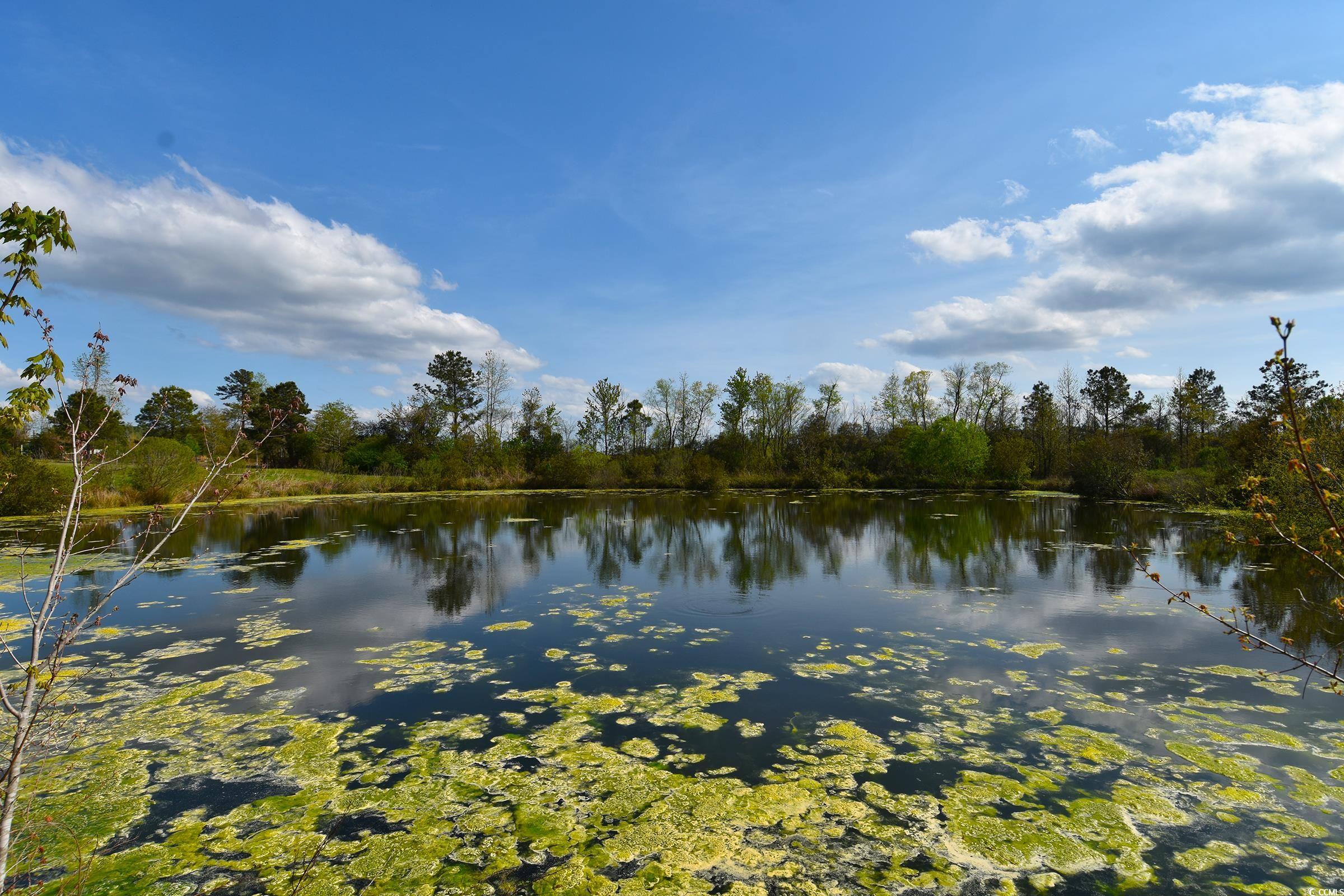 5856 Flamingo Rd., Conway, South Carolina image 10
