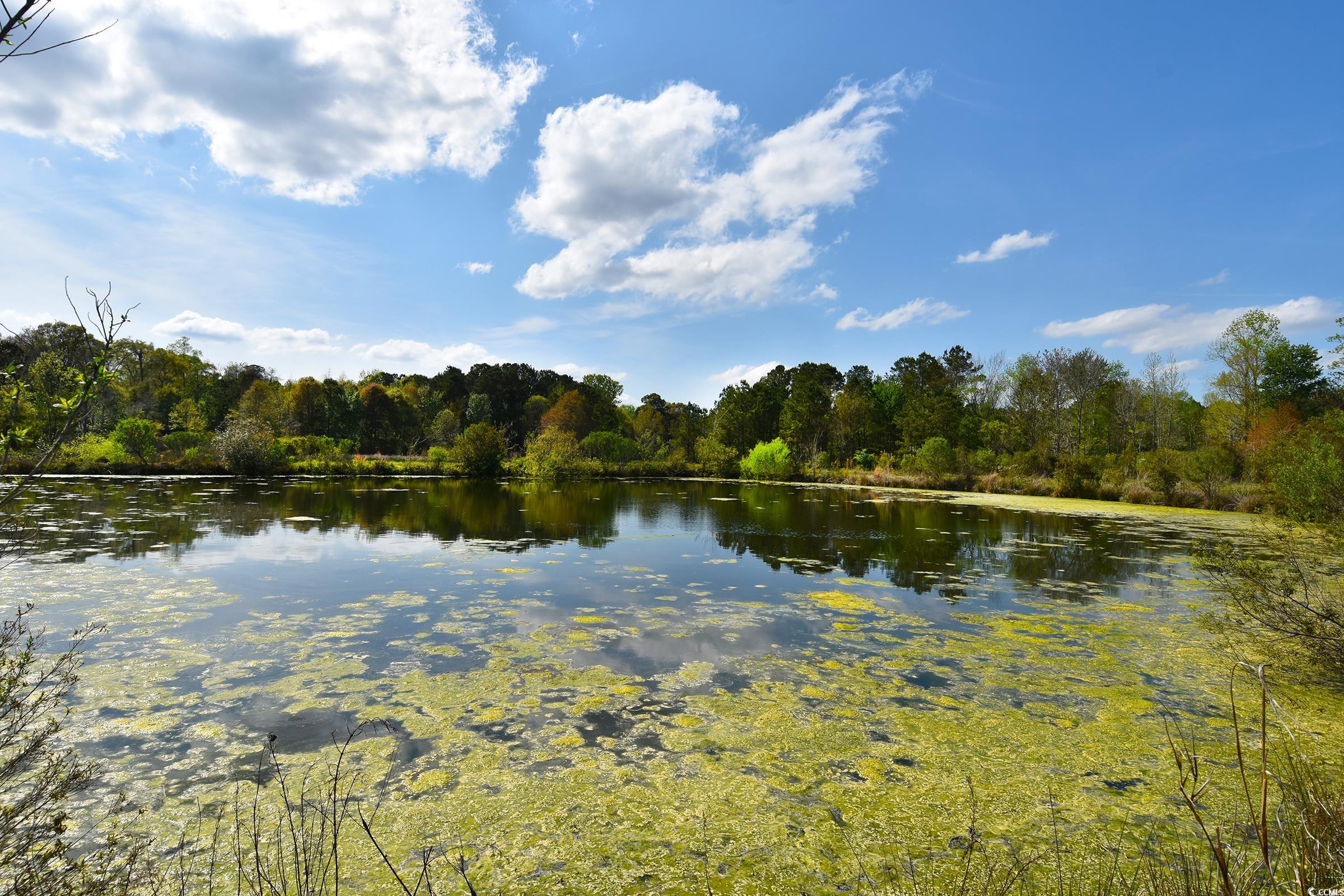 5856 Flamingo Rd., Conway, South Carolina image 13