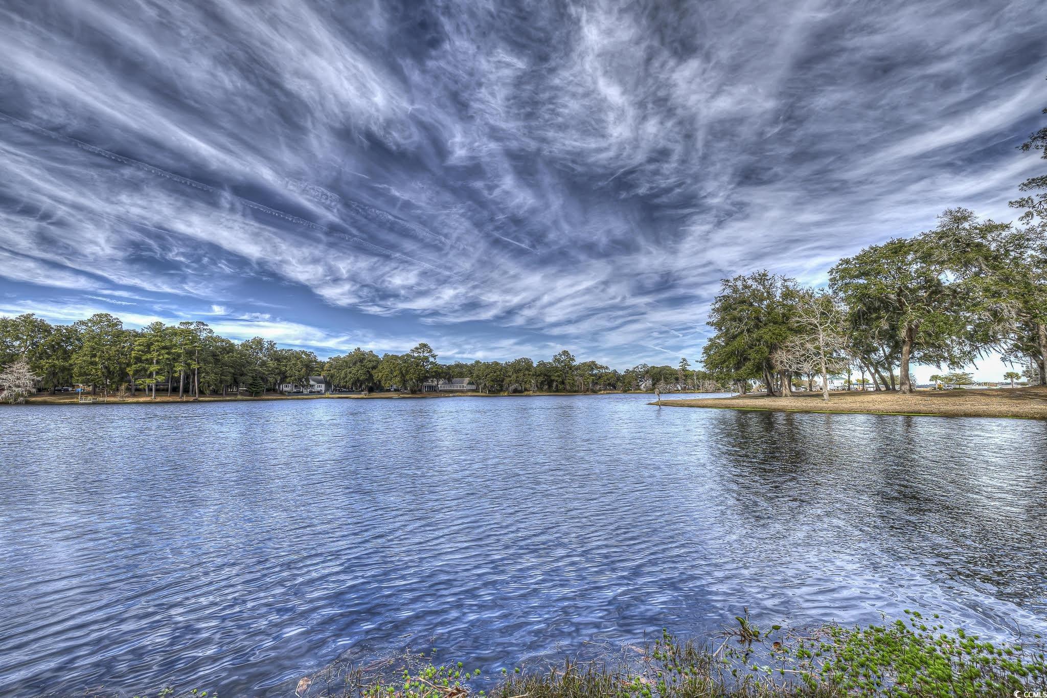 59 Mayrant Bluff Ln. #64, Georgetown, South Carolina image 35