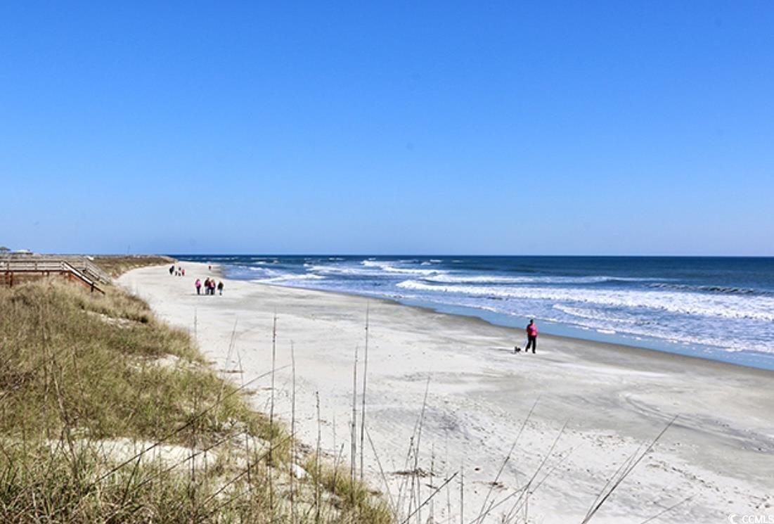 153 Finch Dr. #282, Georgetown, South Carolina image 36