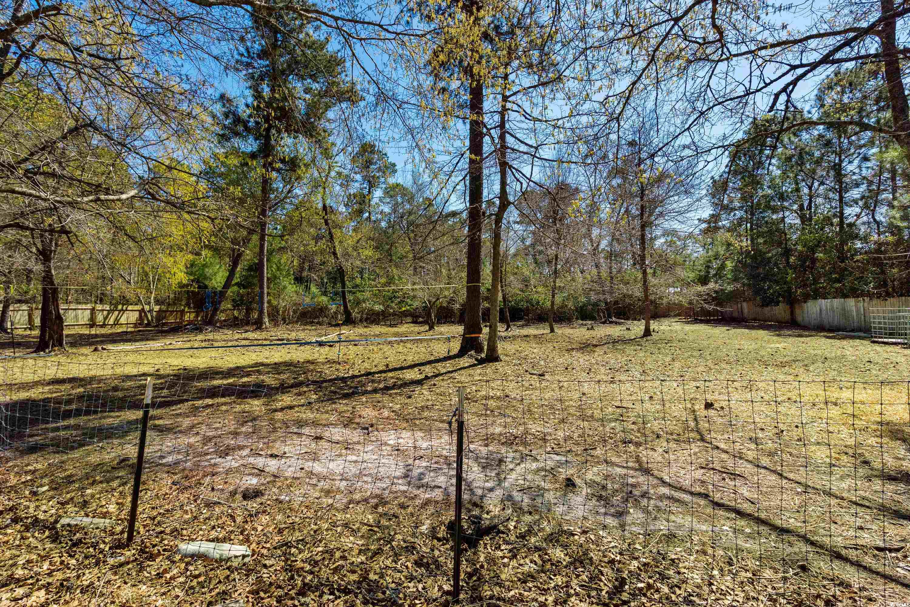 2600 Daisy Rd., Loris, South Carolina image 31