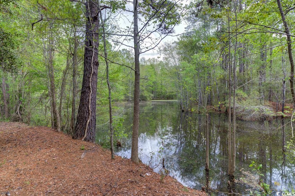 13290 Pee Dee Rd. S, Galivants Ferry, Texas image 22