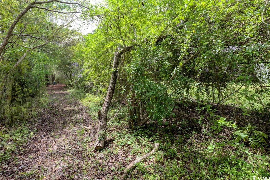 13290 Pee Dee Rd. S, Galivants Ferry, Texas image 23
