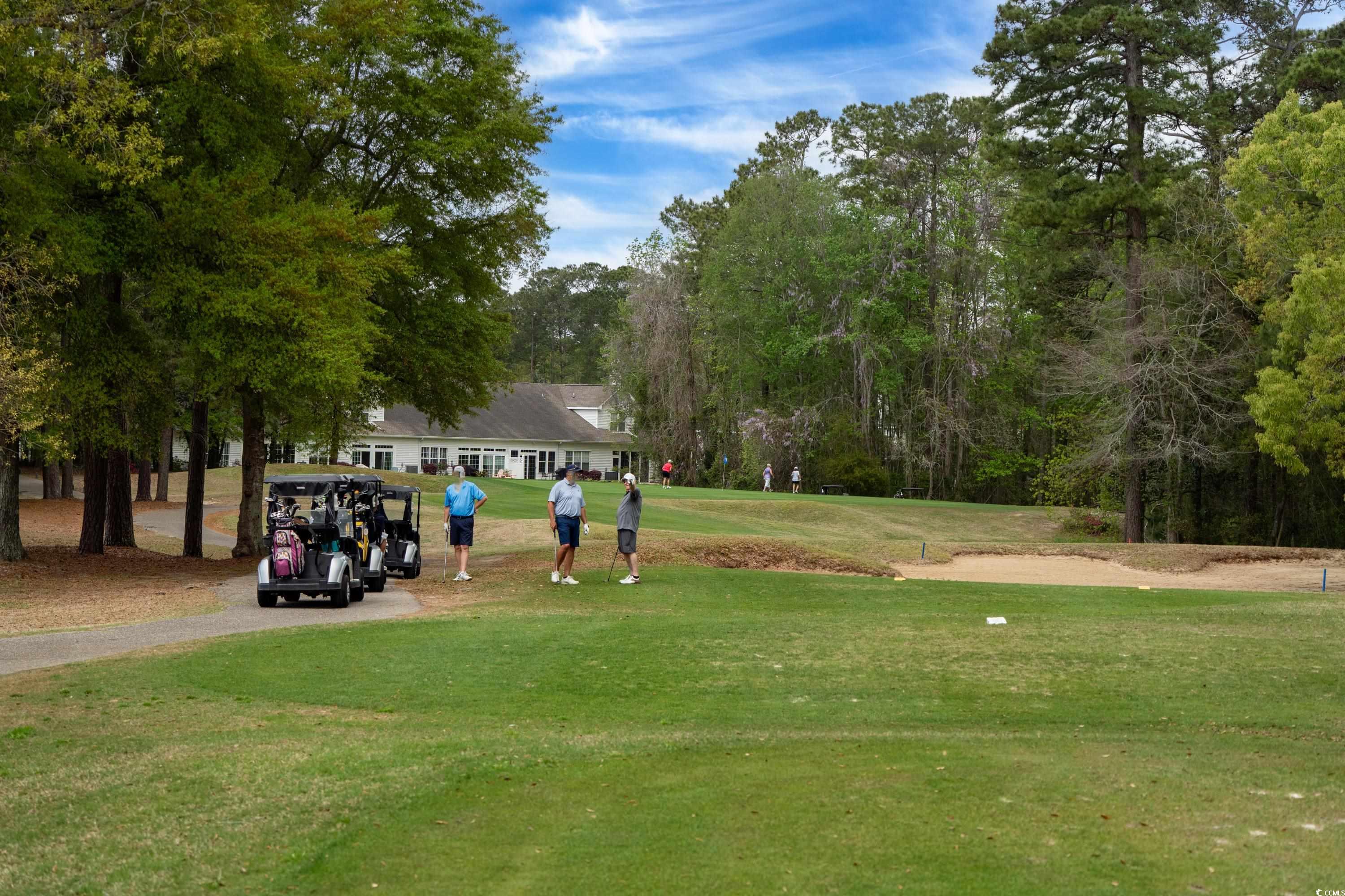 4437 Lady Banks Ln. #C1, Murrells Inlet, South Carolina image 29