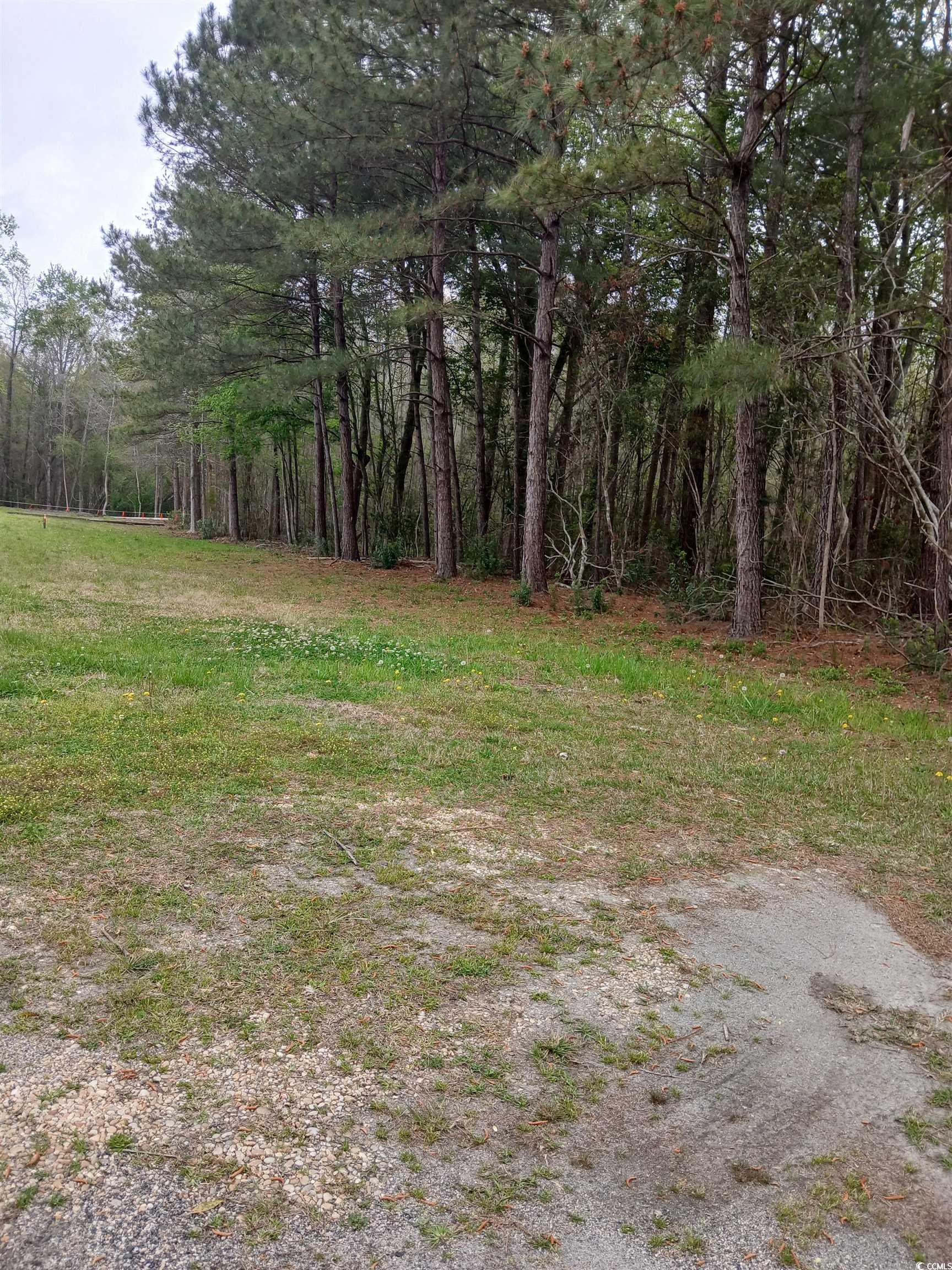 Highway 472 Conway, SC 29526