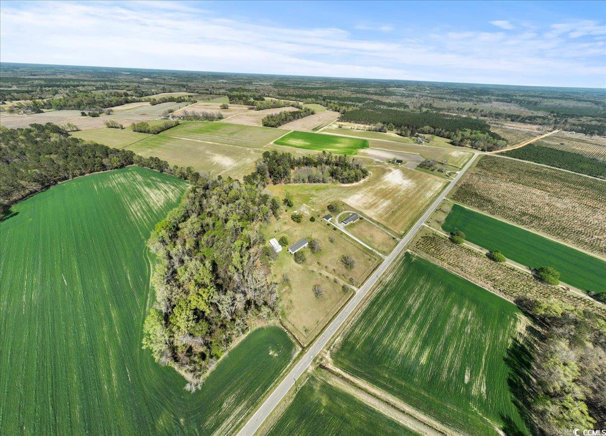 1130 Buck Swamp Rd., Fork, South Carolina image 32