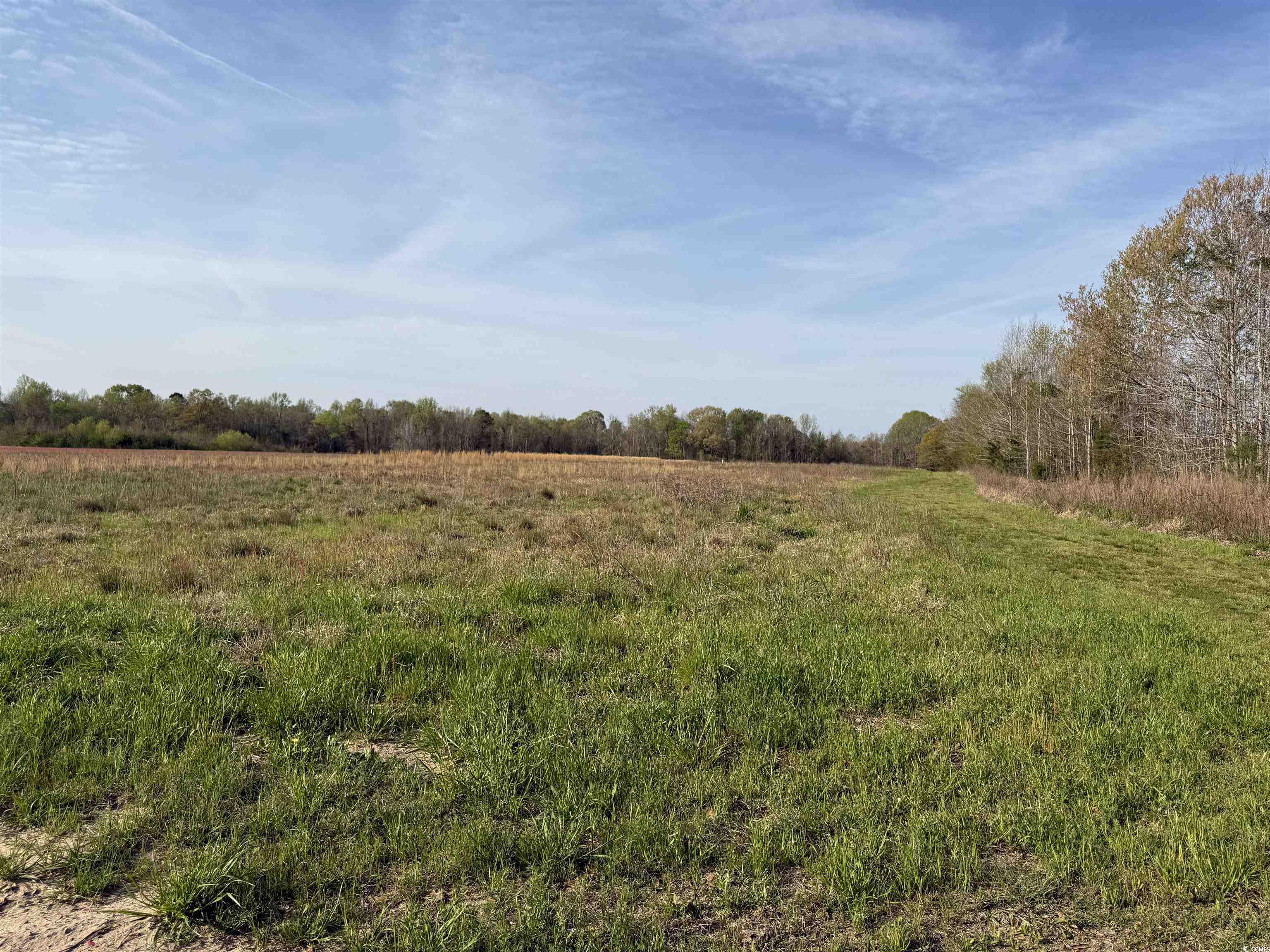 2 Phil Ct., Marion, South Carolina image 1