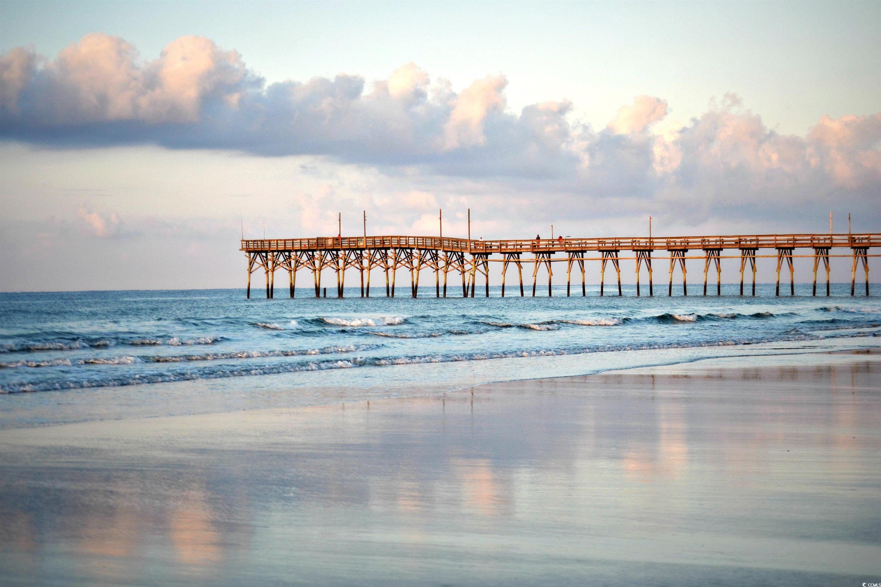 3329 SW Wood Stork Dr., Ocean Isle Beach, North Carolina image 5