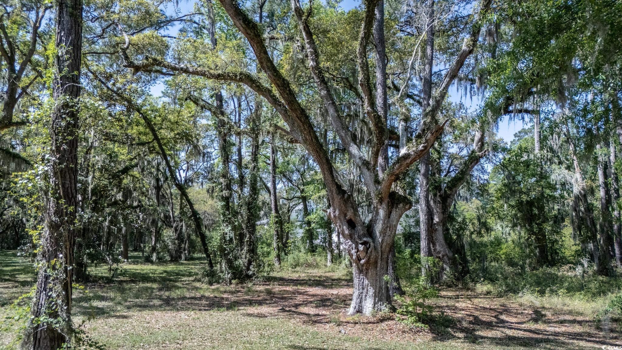865 Tuckers Rd. Pawleys Island, SC 29585