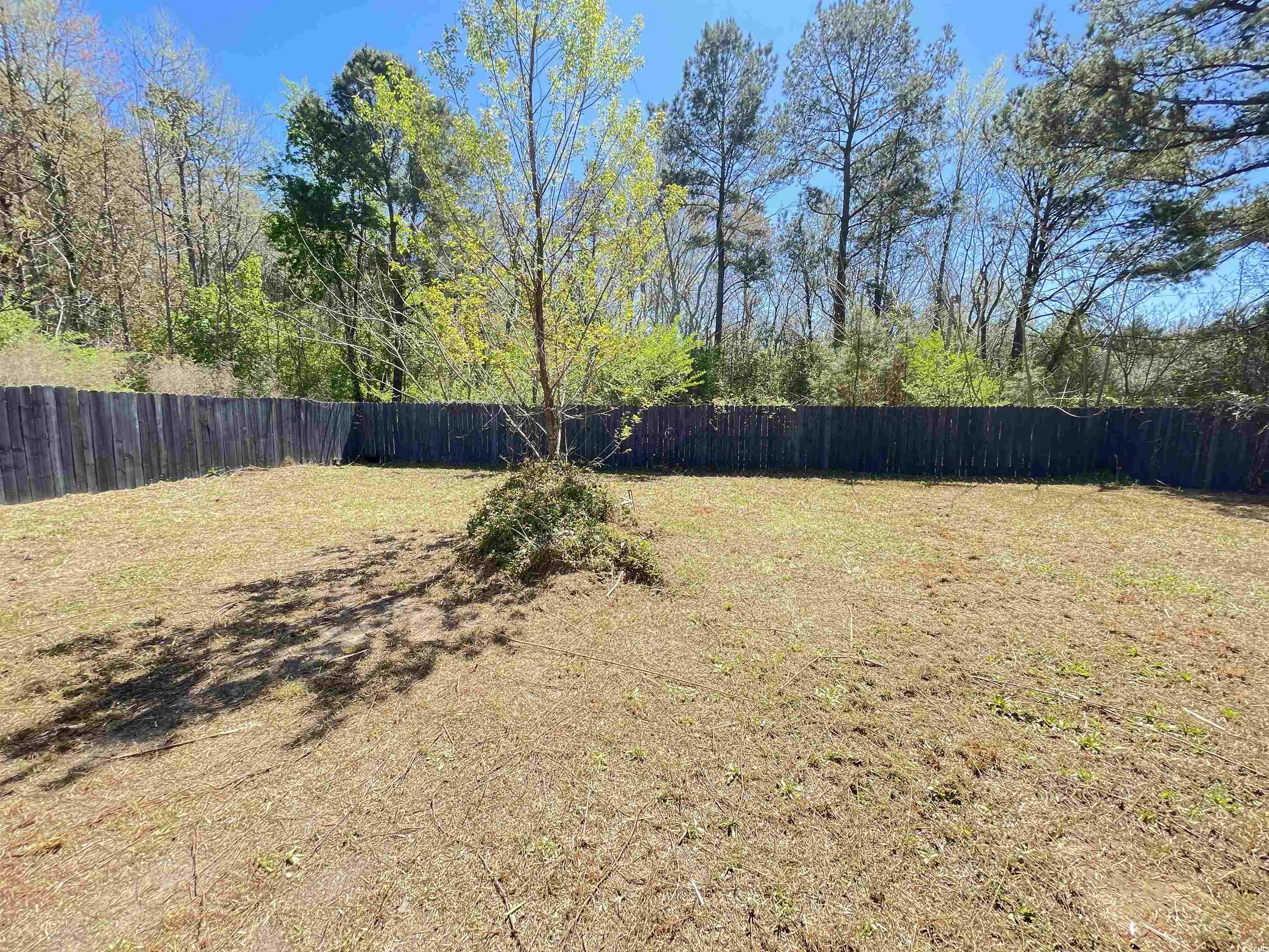 1121 Aimwell Rd., Andrews, South Carolina image 25